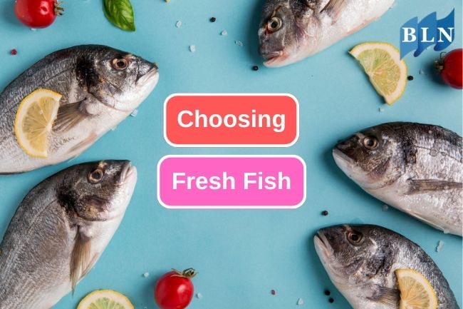 Complete Guide to Choosing the Freshest Fish on the Market